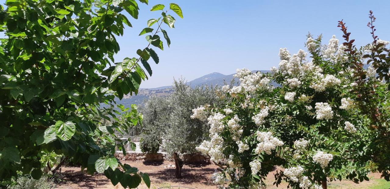 Sanabl Druze Hospitality Bed & Breakfast Ein Kinya Exterior photo